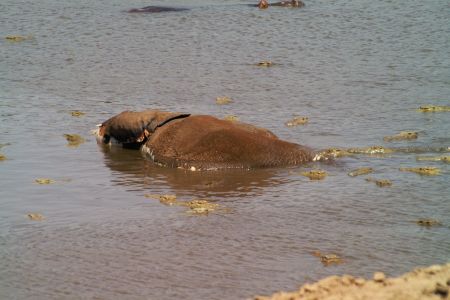 PICT4070.JPG